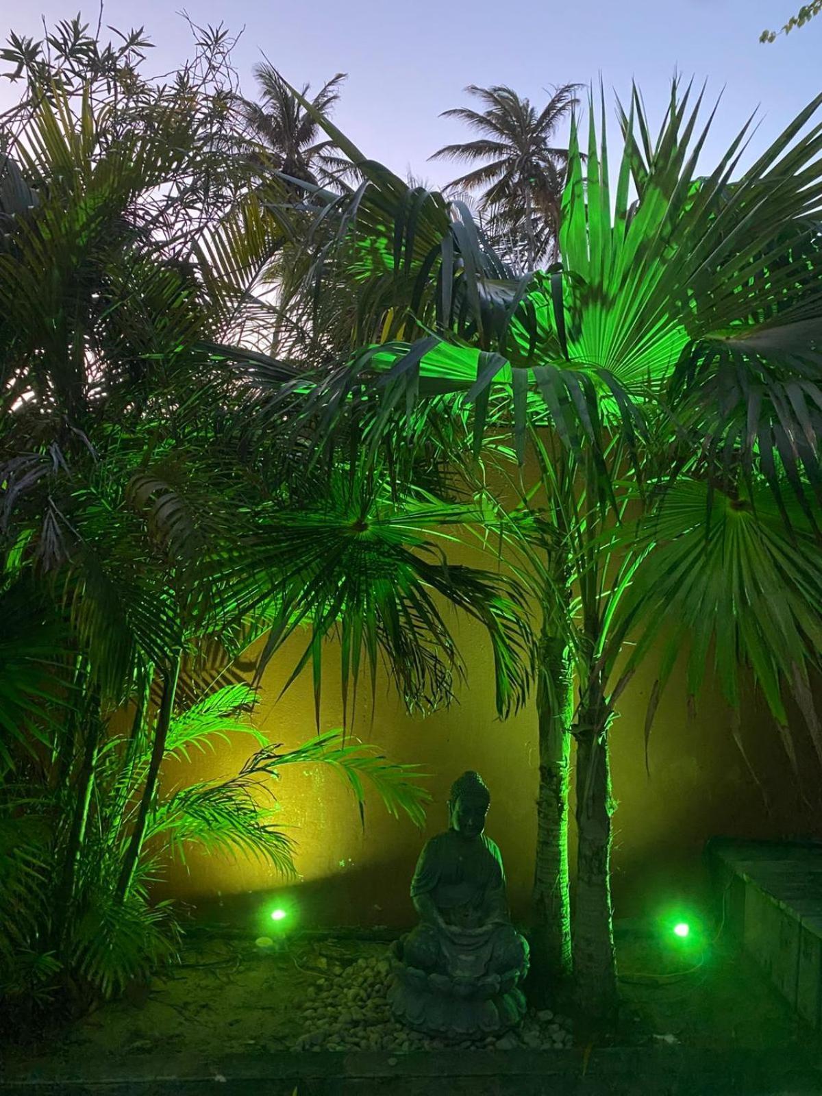 Boutique Le Jardin D'eole-fortim * Fortim