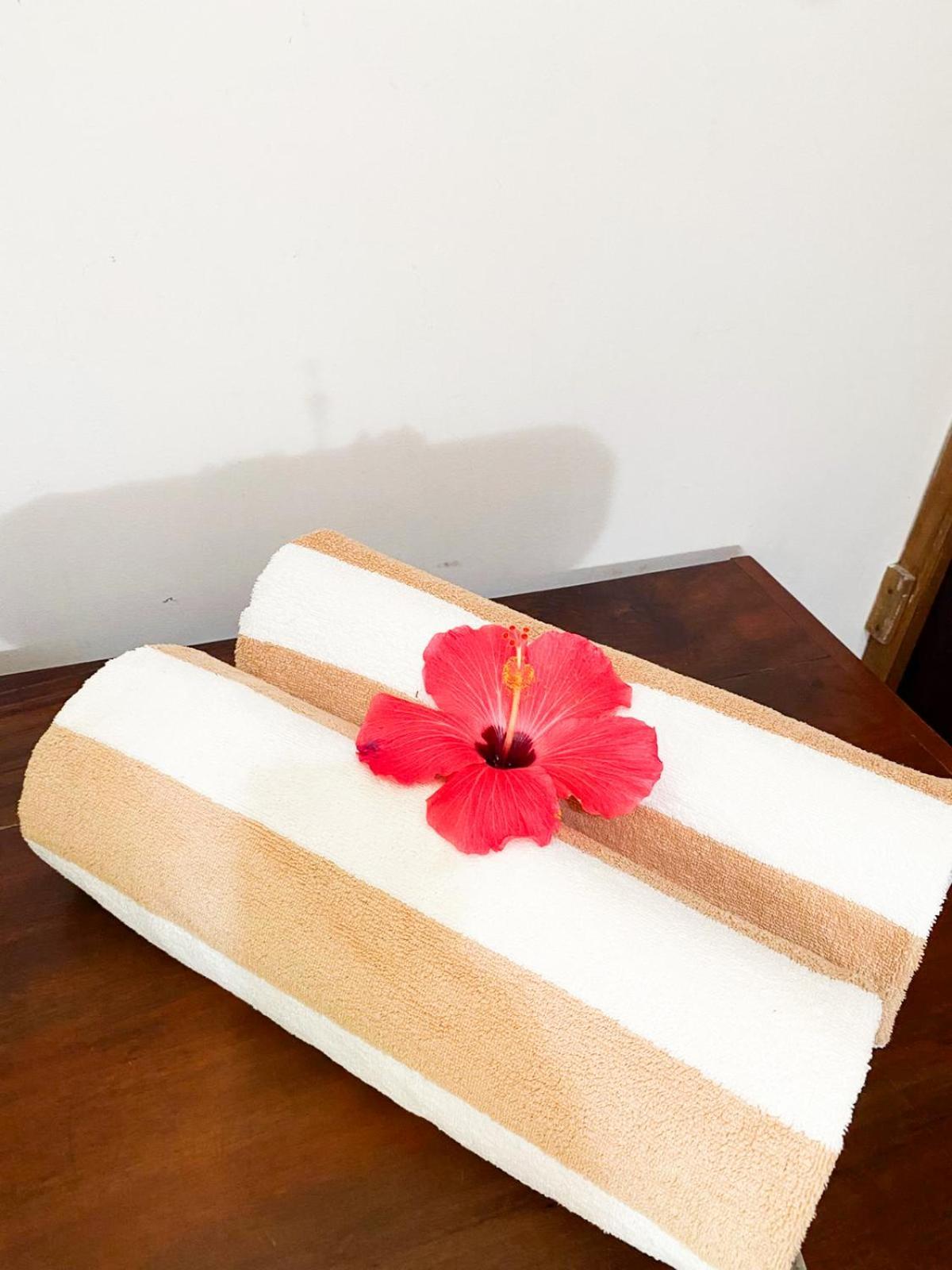Boutique Le Jardin D'eole-fortim *